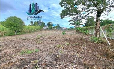 VENDO PROPIEDAD DE 10,400M2 PALMIRA DEL BANCO
