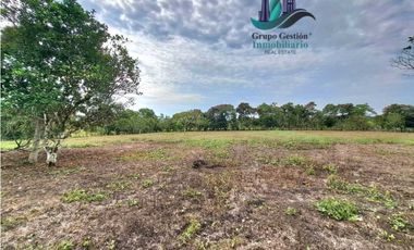 VENDO PROPIEDAD DE 10,400M2 PALMIRA DEL BANCO