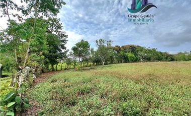 VENDO PROPIEDAD DE 10,400M2 PALMIRA DEL BANCO
