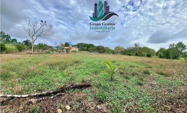 VENDO PROPIEDAD DE 10,400M2 PALMIRA DEL BANCO