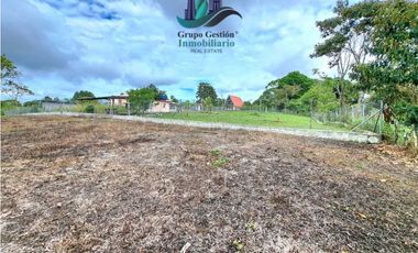 VENDO PROPIEDAD DE 10,400M2 PALMIRA DEL BANCO