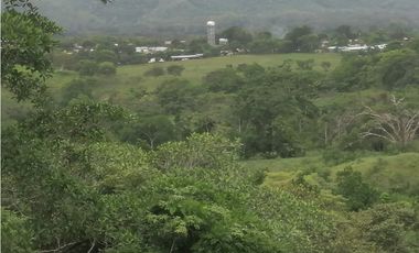 Terreno en venta  50 Has-Cañita de Chepo (BO)