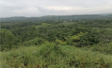Terreno en venta  50 Has-Cañita de Chepo (BO)