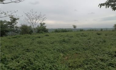 Terreno en venta  50 Has-Cañita de Chepo (BO)