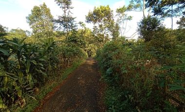 Jual Murah tanah kebun nempel jalan desa cocok investasi kebun desa Kertasari Bojong Purwakarta Jawa Barat