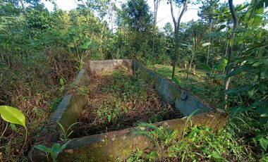 Jual Murah tanah kebun nempel jalan desa cocok investasi kebun desa Kertasari Bojong Purwakarta Jawa Barat