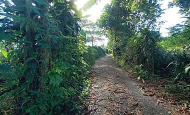 Jual Murah tanah kebun nempel jalan desa cocok investasi kebun desa Kertasari Bojong Purwakarta Jawa Barat