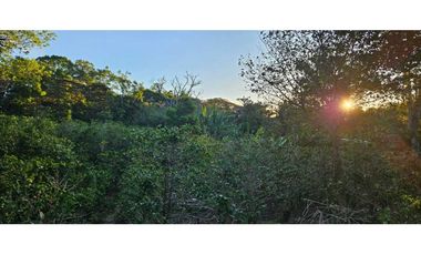 VENDO 1000 METROS PALMIRA ARRIBA