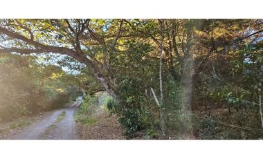 VENDO 1000 METROS PALMIRA ARRIBA