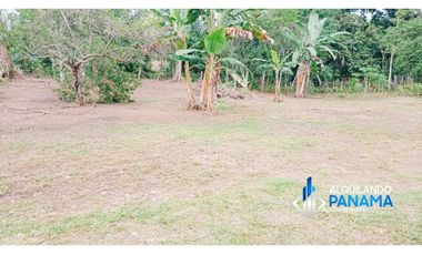 Se vende linda casa campestre en Santo Domingo, Bugaba!