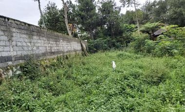 Tanah murah bagus cantik siap bangun Trinity lembang Bandung