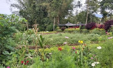 Tanah murah bagus cantik siap bangun Trinity lembang Bandung