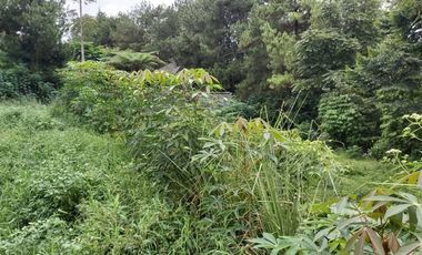 Tanah murah bagus cantik siap bangun Trinity lembang Bandung