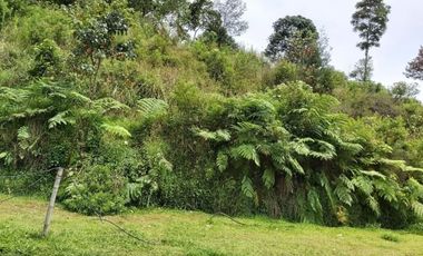 Tanah murah bagus cantik siap bangun Trinity lembang Bandung