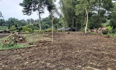 Tanah murah bagus cantik siap bangun Trinity lembang Bandung