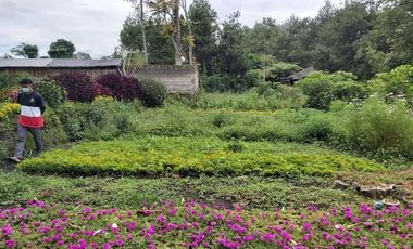 Tanah murah bagus cantik siap bangun Trinity lembang Bandung