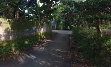 Mau Cari Tanah Luas di Borobudur?Yuk, Segera Booking Sekarang!