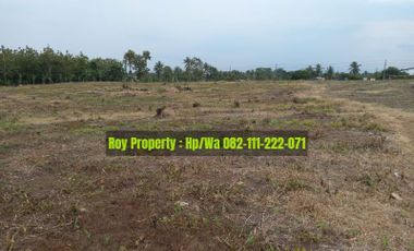 DIJUAL CEPAT Tanah di Kalianda Lampung Selatan 4 Ha MURAH
