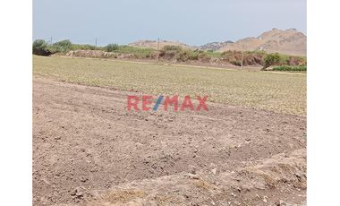 Venta De Terreno De 2.5 Has - ¡Gran Oportunidad De Inversión En Chancay! 🌟