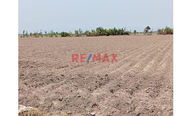 Venta De Terreno De 2.5 Has - ¡Gran Oportunidad De Inversión En Chancay! 🌟