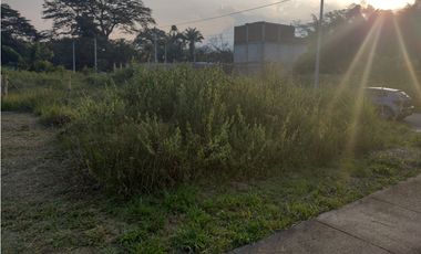VENTA DE LOTE EN POTRERITO