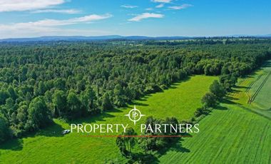 Terreno con monte y bosque de renovales, Paillaco