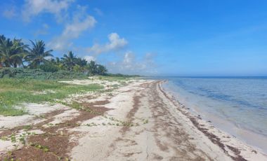 Terreno en Venta frente a la  playa de  Santa Clara, Yucatán