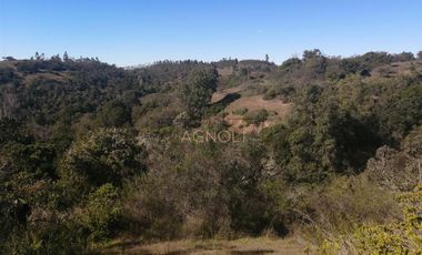 Sitio en Venta en Condominio Almar, San Vicente de Arrayanes