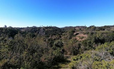 Sitio en Venta en Condominio Almar, San Vicente de Arrayanes