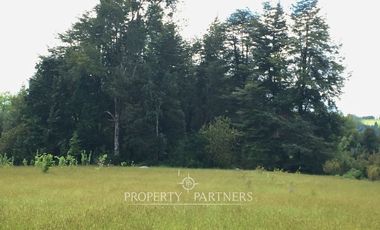 Sitio en Venta ubicado a 12 km de Panguipulli.