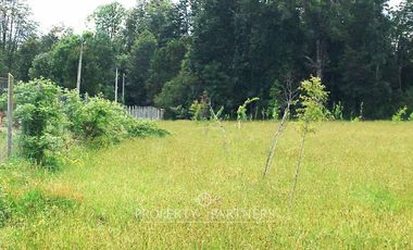 Sitio en Venta ubicado a 12 km de Panguipulli.