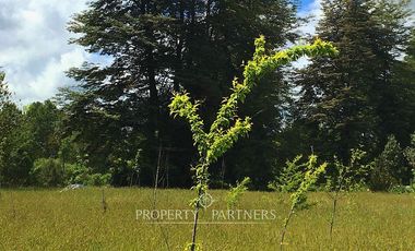 Sitio en Venta ubicado a 12 km de Panguipulli.