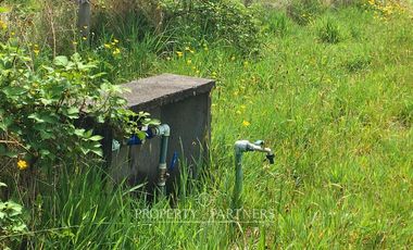 Sitio en Venta ubicado a 12 km de Panguipulli.