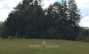 Sitio en Venta ubicado a 12 km de Panguipulli.