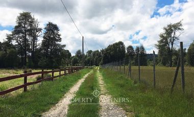 Sitio en Venta ubicado a 12 km de Panguipulli.