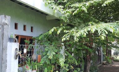 Rumah asri di tengah kota Jogja dekat kampus UAD