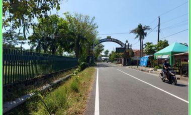 Beli Segera Tanah di Prambanan Harga 3,6Jt/m Pinggir Jalan Aspal