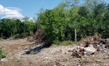 Terrenos en Venta ubicados en Chicxulub, Yucatán