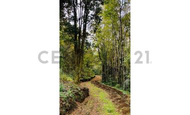 VENTA PARCELA VILLARRICA SECTOR PEDREGOSO