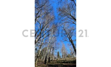 VENTA PARCELA VILLARRICA SECTOR PEDREGOSO