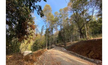 VENTA PARCELA VILLARRICA SECTOR PEDREGOSO
