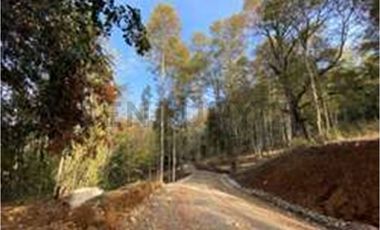 VENTA PARCELA VILLARRICA SECTOR PEDREGOSO