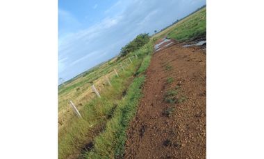 VENDO FINCA EN TORTI