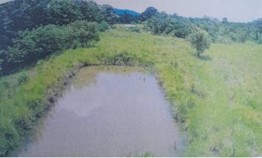 VENDO FINCA EN TORTI