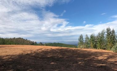 Sitio en Venta en Sector Alto Ramirez