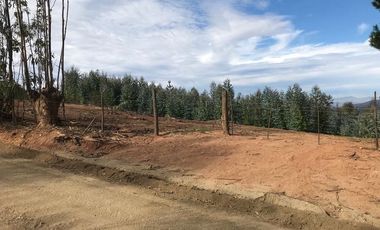 Sitio en Venta en Sector Alto Ramirez