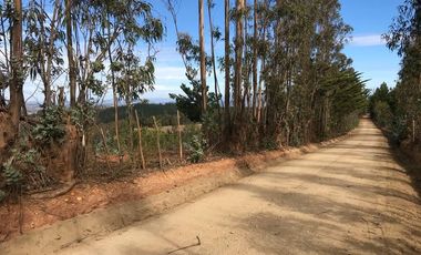 Sitio en Venta en Sector Alto Ramirez