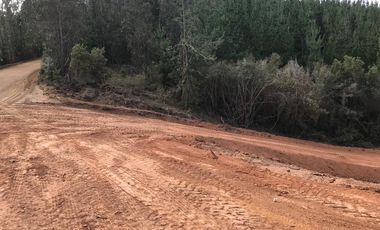 Sitio en Venta en Sector Alto Ramirez