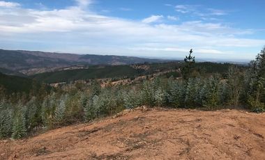 Sitio en Venta en Sector Alto Ramirez