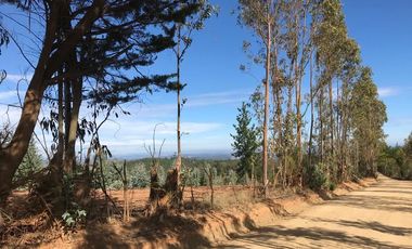 Sitio en Venta en Sector Alto Ramirez